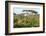 Elephant Walks Through Jungle Landscape, Ngorongoro, Tanzania-James Heupel-Framed Photographic Print