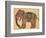 Elephant Wearing a Caparison-Aristotle ibn Bakhtishu-Framed Giclee Print