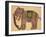 Elephant Wearing a Caparison-Aristotle ibn Bakhtishu-Framed Giclee Print