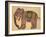 Elephant Wearing a Caparison-Aristotle ibn Bakhtishu-Framed Giclee Print