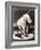 Elephant Wearing Top Hat Performing on Stool in Circus-null-Framed Photo