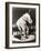 Elephant Wearing Top Hat Performing on Stool in Circus-null-Framed Photo