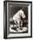 Elephant Wearing Top Hat Performing on Stool in Circus-null-Framed Photo