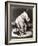 Elephant Wearing Top Hat Performing on Stool in Circus-null-Framed Photo