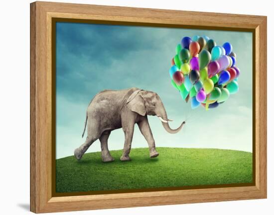 Elephant with a Colorful Balloons-egal-Framed Premier Image Canvas