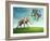 Elephant with a Colorful Balloons-egal-Framed Photographic Print