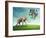 Elephant with a Colorful Balloons-egal-Framed Photographic Print