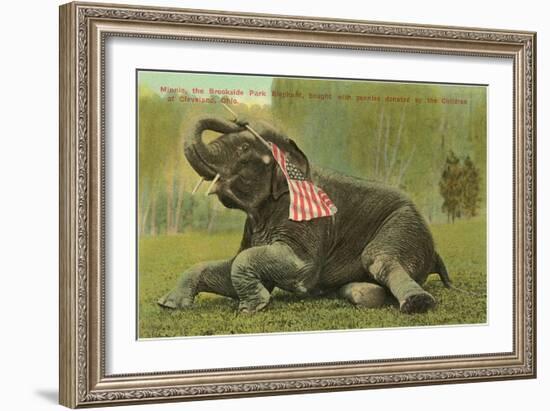 Elephant with Flag, Zoo in Cleveland, Ohio-null-Framed Premium Giclee Print