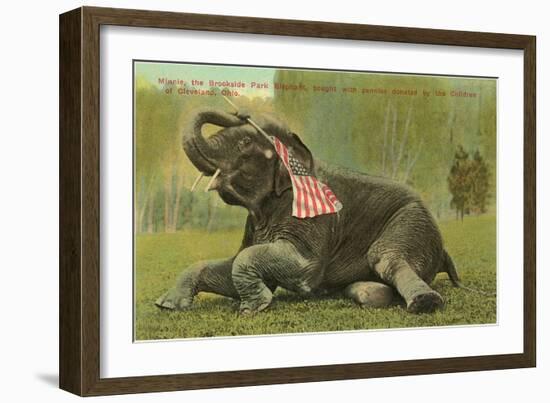 Elephant with Flag, Zoo in Cleveland, Ohio-null-Framed Premium Giclee Print