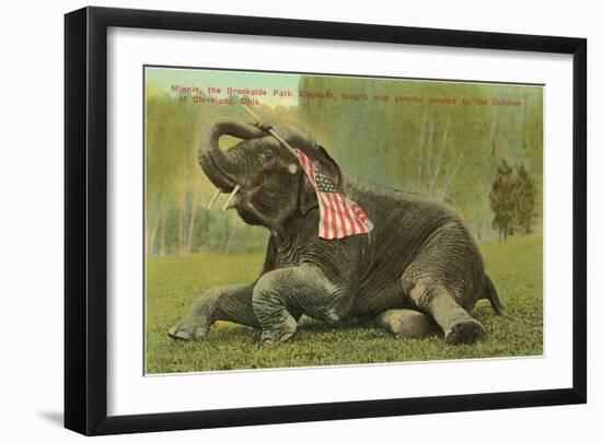 Elephant with Flag, Zoo in Cleveland, Ohio-null-Framed Premium Giclee Print