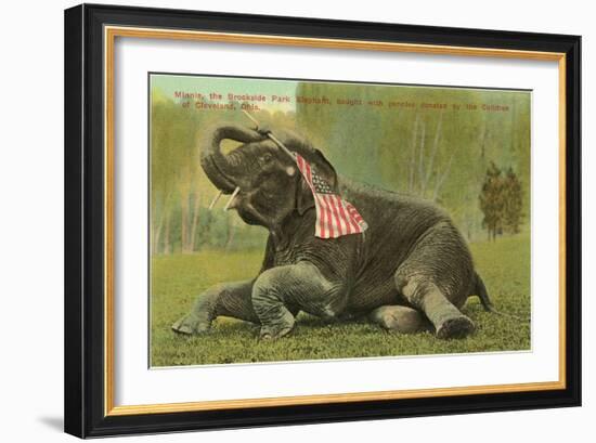 Elephant with Flag, Zoo in Cleveland, Ohio-null-Framed Premium Giclee Print