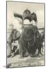 Elephant with Howdah, Amhehari, India-null-Mounted Art Print