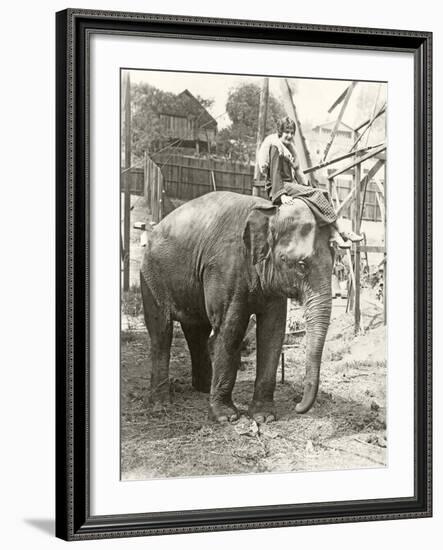 Elephant with Someone on His Mind-null-Framed Photo