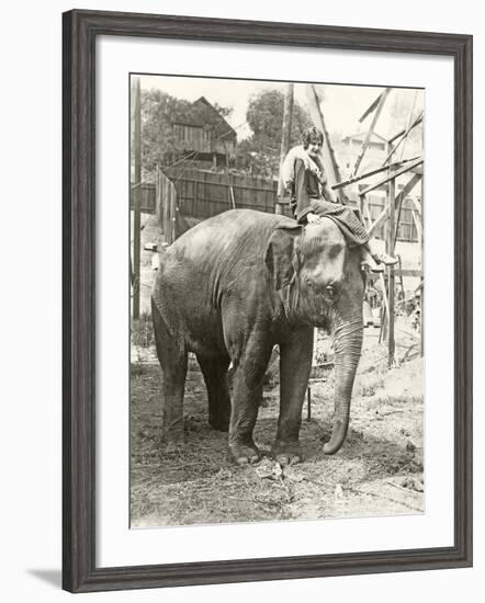 Elephant with Someone on His Mind-null-Framed Photo