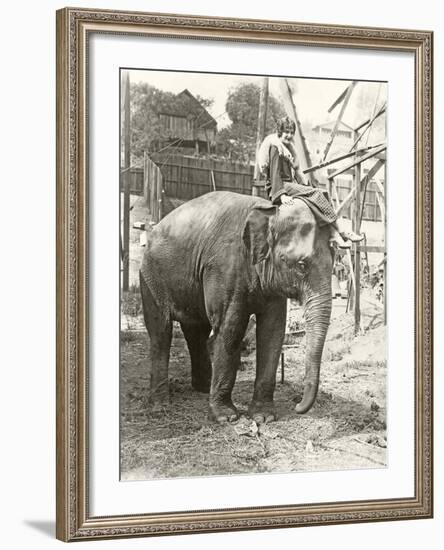 Elephant with Someone on His Mind-null-Framed Photo