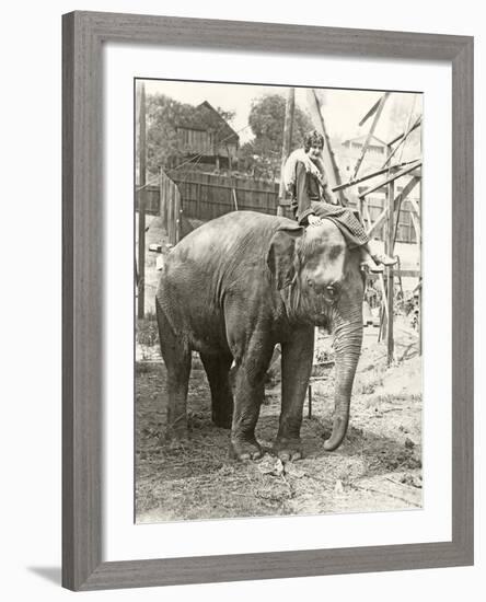 Elephant with Someone on His Mind-null-Framed Photo