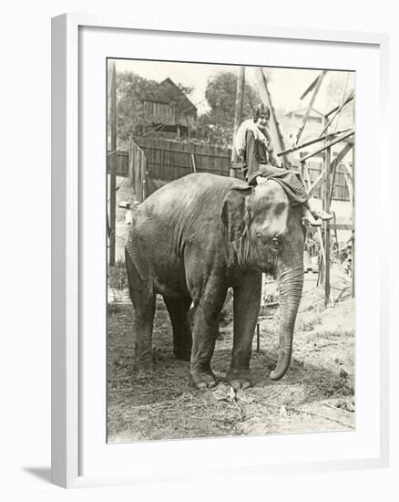 Elephant with Someone on His Mind-null-Framed Photo