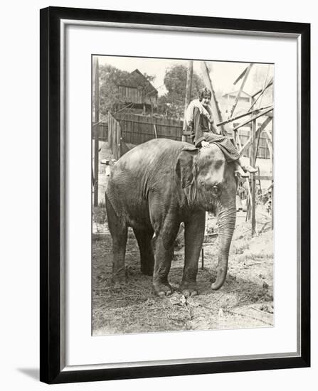 Elephant with Someone on His Mind-null-Framed Photo