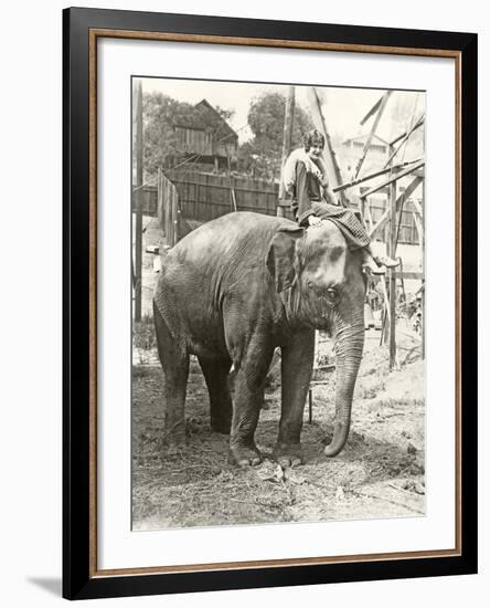 Elephant with Someone on His Mind-null-Framed Photo