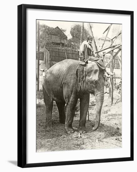 Elephant with Someone on His Mind-null-Framed Photo