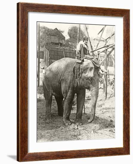 Elephant with Someone on His Mind-null-Framed Photo