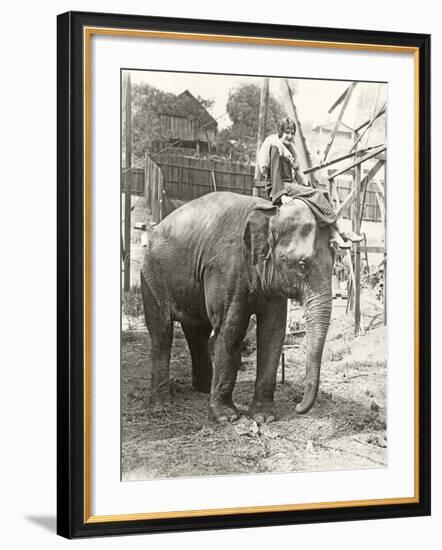 Elephant with Someone on His Mind-null-Framed Photo