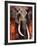 Elephant-Fabienne Arietti-Framed Art Print