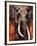 Elephant-Fabienne Arietti-Framed Art Print