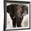 Elephant-Emmanual Michel-Framed Art Print