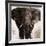 Elephant-Emmanual Michel-Framed Art Print