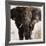 Elephant-Emmanual Michel-Framed Art Print