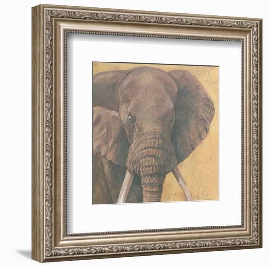 Elephant-null-Framed Art Print