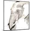 Elephant-Philippe Debongnie-Mounted Art Print