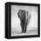 Elephant-Donvanstaden-Framed Premier Image Canvas