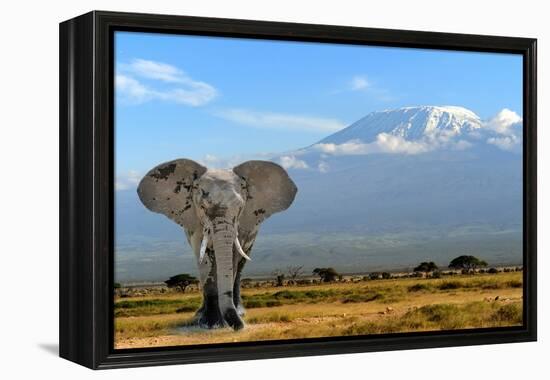 Elephant-byrdyak-Framed Premier Image Canvas