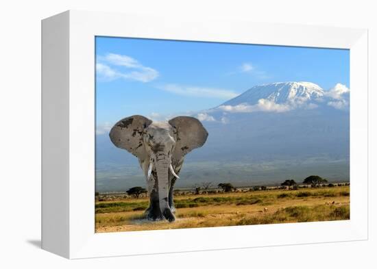 Elephant-byrdyak-Framed Premier Image Canvas