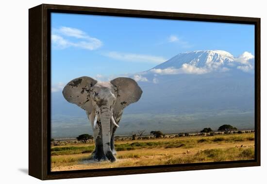 Elephant-byrdyak-Framed Premier Image Canvas