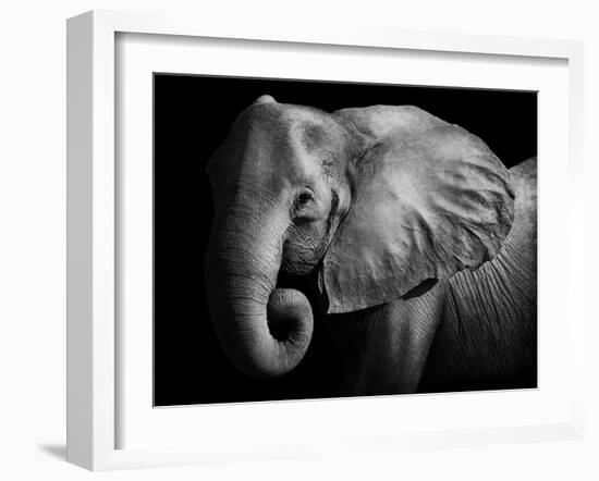 Elephant-Donvanstaden-Framed Photographic Print