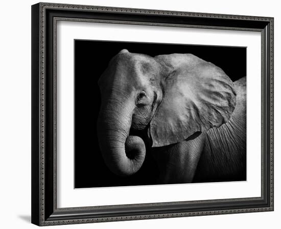 Elephant-Donvanstaden-Framed Photographic Print