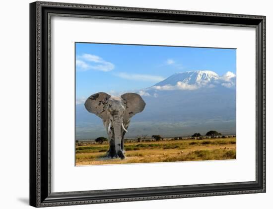 Elephant-byrdyak-Framed Photographic Print