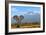 Elephant-byrdyak-Framed Photographic Print