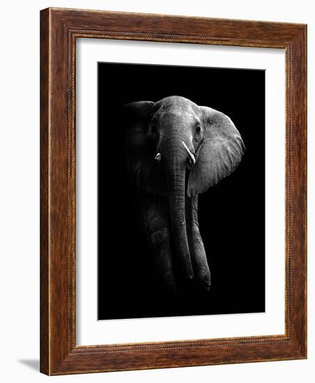 Elephant!-WildPhotoArt-Framed Photographic Print