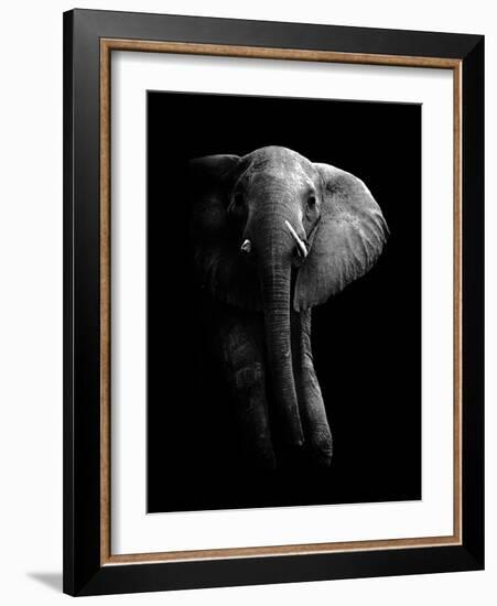 Elephant!-WildPhotoArt-Framed Photographic Print