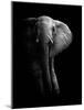 Elephant!-WildPhotoArt-Mounted Photographic Print