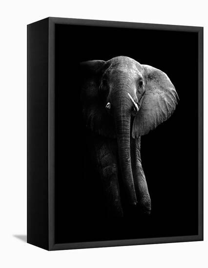 Elephant!-WildPhotoArt-Framed Premier Image Canvas