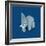 Elephant-Bo Virkelyst Jensen-Framed Art Print