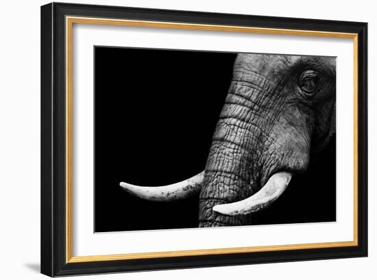 Elephant-Donvanstaden-Framed Premium Giclee Print