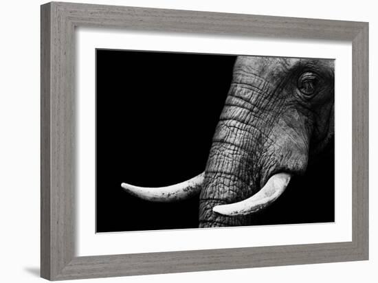 Elephant-Donvanstaden-Framed Art Print