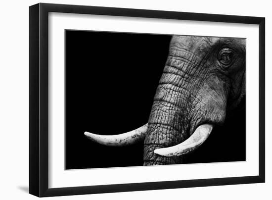 Elephant-Donvanstaden-Framed Art Print