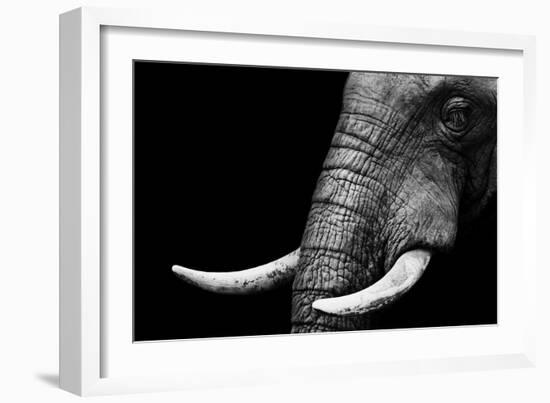 Elephant-Donvanstaden-Framed Art Print